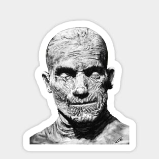 Universal Monsters - The Mummy Sticker